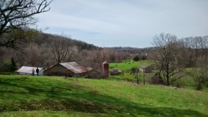View looking over the holler