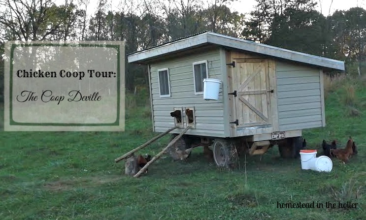 The Coop Deville: A mobile chicken coop