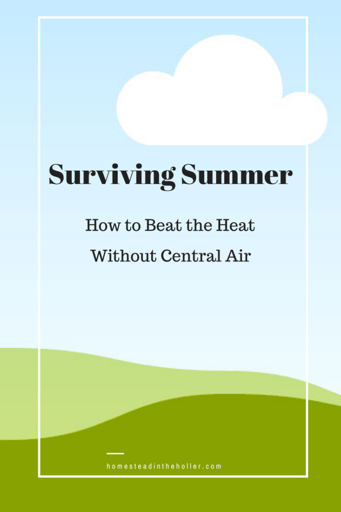 Surviving Summer: How to beat the heat without central air