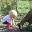 Farm chores with toddler