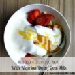 Nigerian Dwarf Goat Yogurt