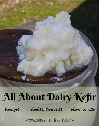 All about Dairy Kefir