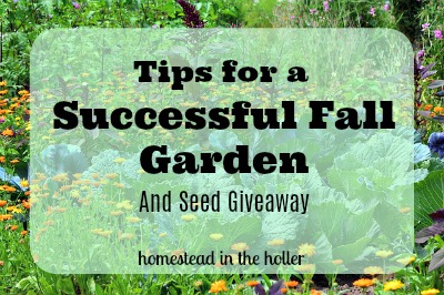 Tips for a successful fall garden
