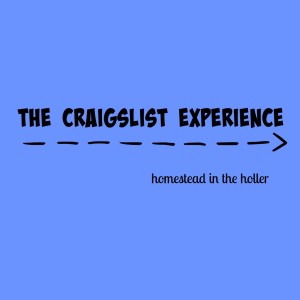 Craiglist experience
