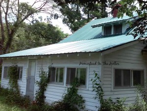 This shows the house roof nearly completed. The dormer has been removed and the metal is on though not trimmed.