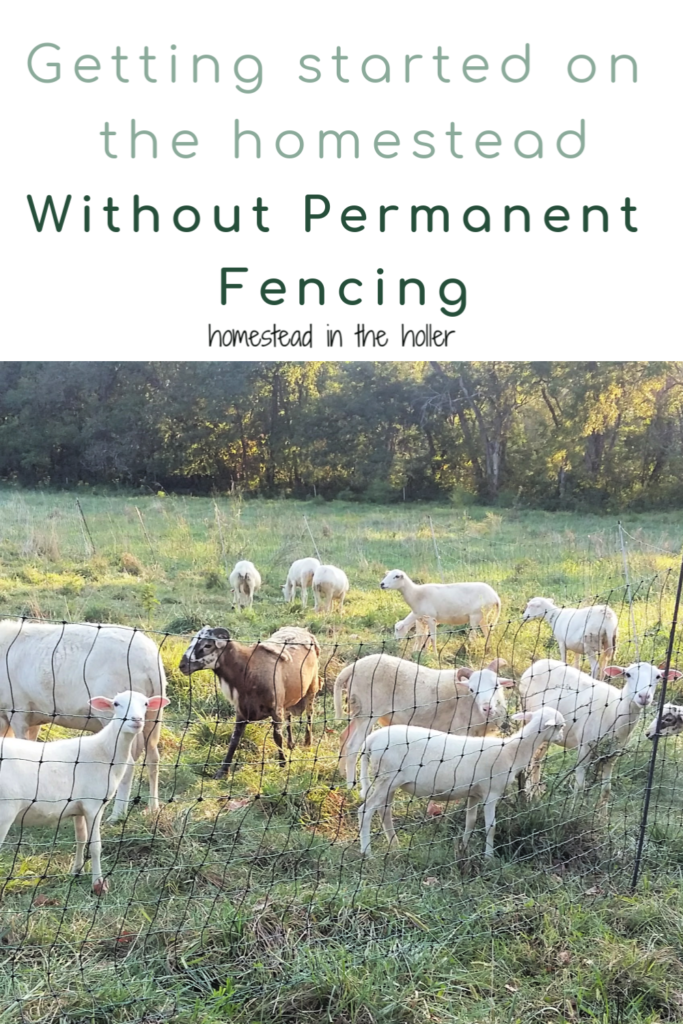 Get Started on your homestead without permanent fencing