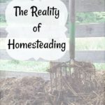 The reality of homesteading