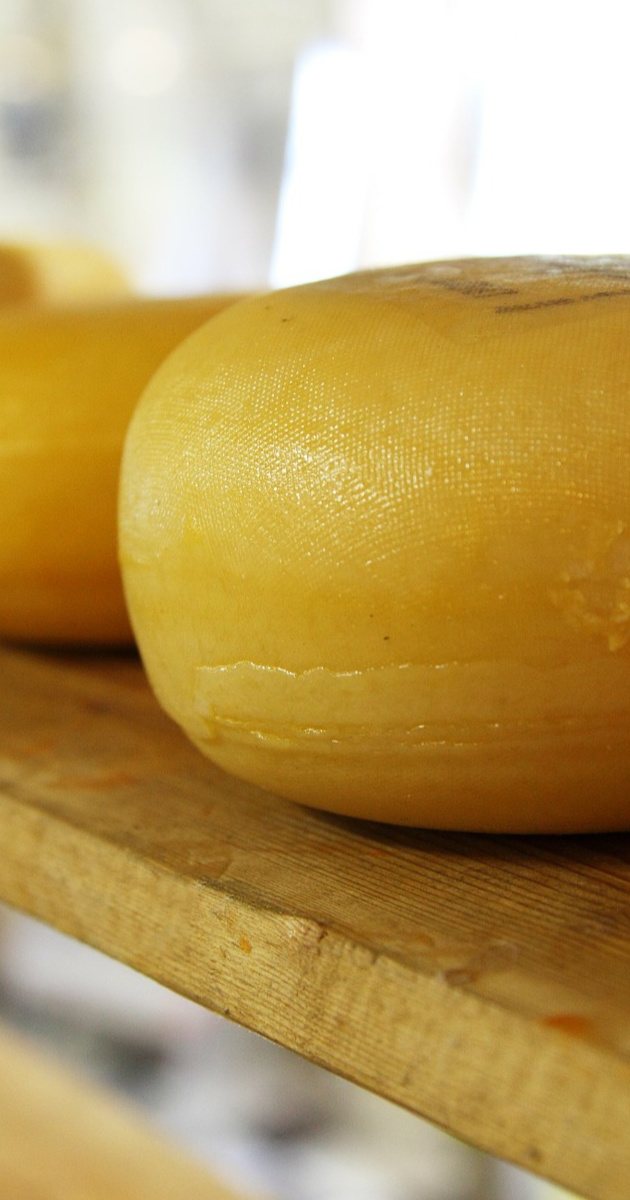 hard cheese Homestead In The Holler