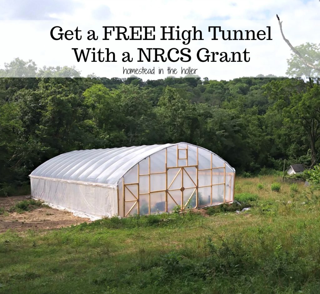 Get a free high tunnel with an NRCS grant