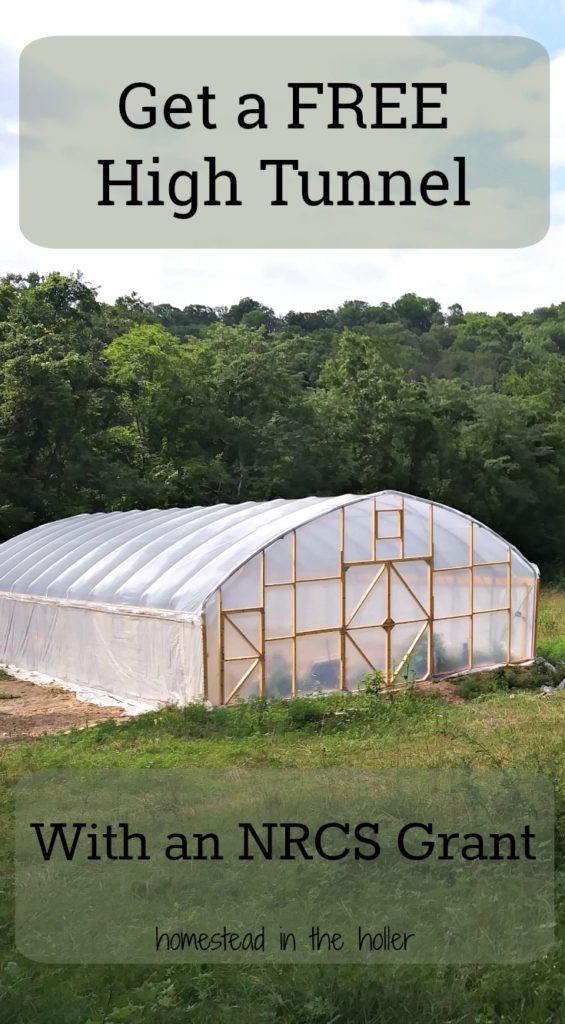 Get a free high tunnel with a NRCS grant