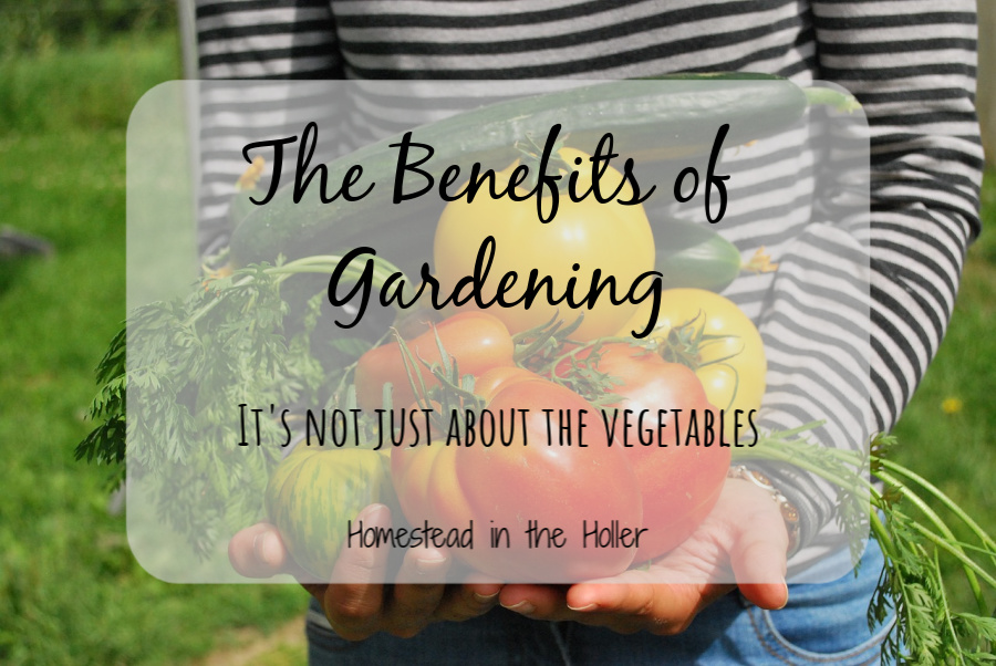 Benefits of Gardening