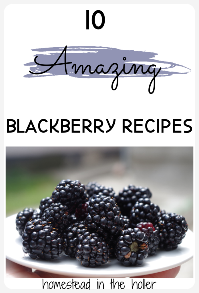 10 amazing blackberry recipes